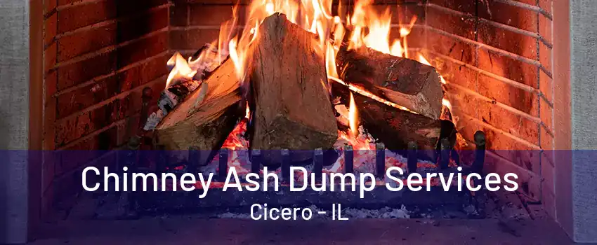 Chimney Ash Dump Services Cicero - IL