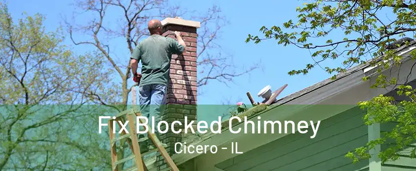 Fix Blocked Chimney Cicero - IL