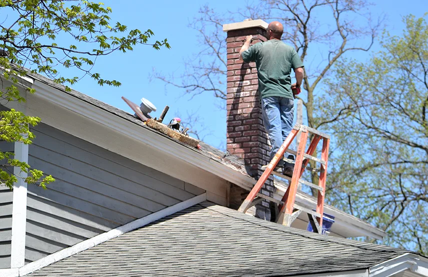 Chimney & Fireplace Inspections Services in Cicero, IL