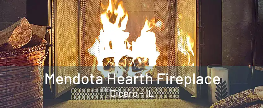 Mendota Hearth Fireplace Cicero - IL