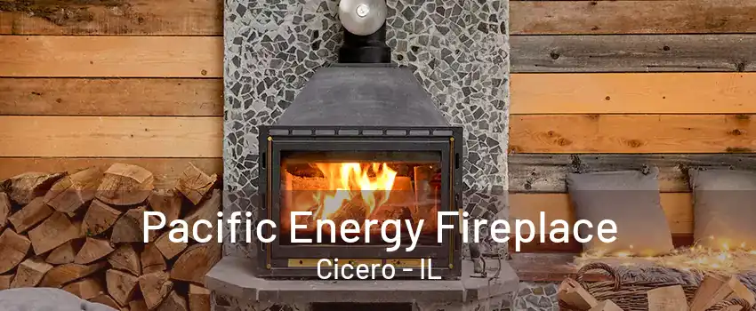 Pacific Energy Fireplace Cicero - IL